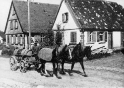 _Fuhrwerk _Fuhrwerk