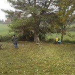 20151017_111209_p4w