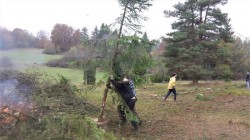 20151017_120248_p4w