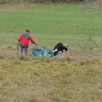 20161008_101724_p4w