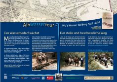 Ochsen_in_der_Steige